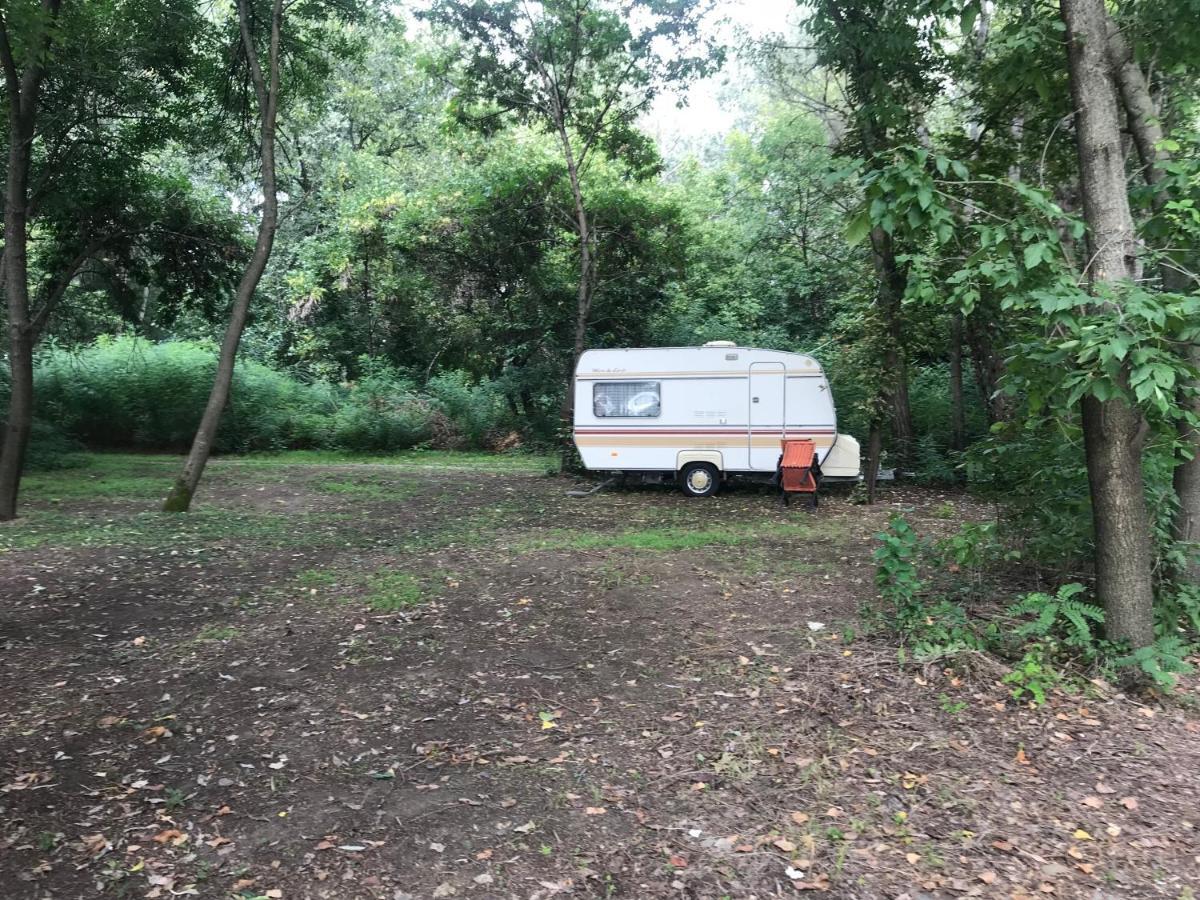 Tisza-Beach Wild Camping 5 Szeged Exterior foto