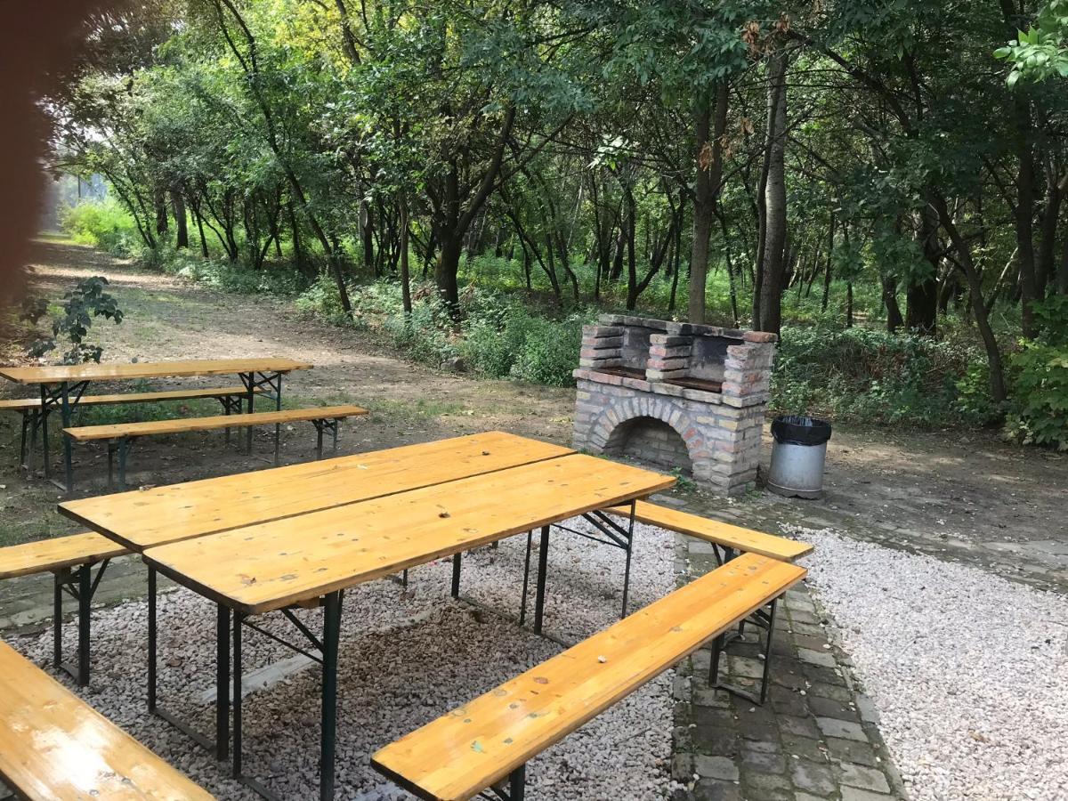 Tisza-Beach Wild Camping 5 Szeged Exterior foto