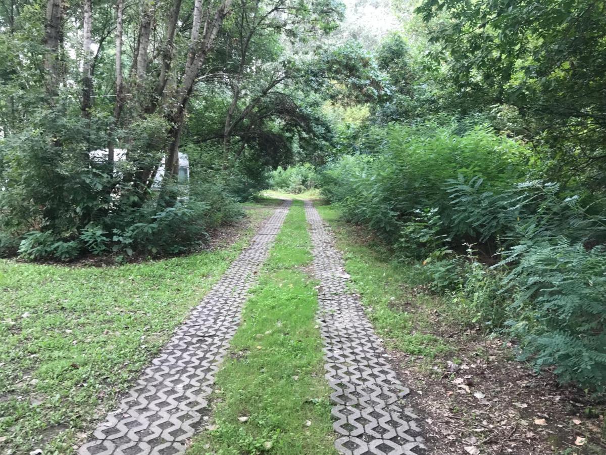 Tisza-Beach Wild Camping 5 Szeged Exterior foto