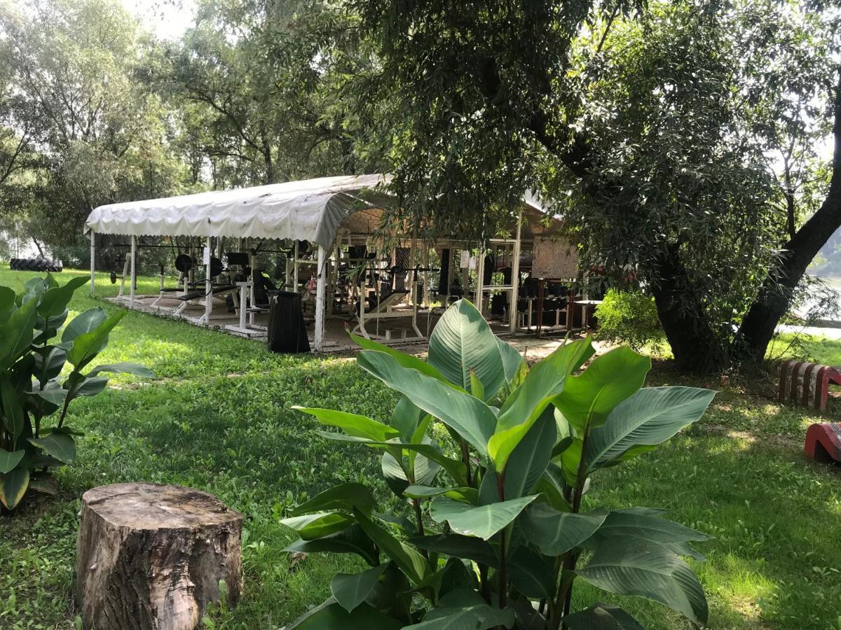 Tisza-Beach Wild Camping 5 Szeged Exterior foto