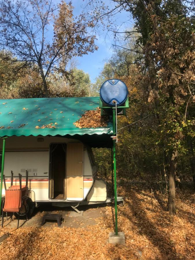 Tisza-Beach Wild Camping 5 Szeged Exterior foto